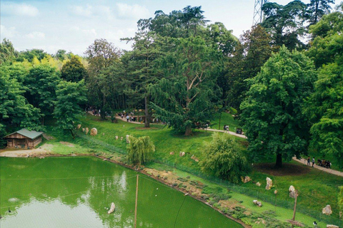 Zwarte Zee: Tocht langs het magnetische strand en de botanische tuin van Batumi