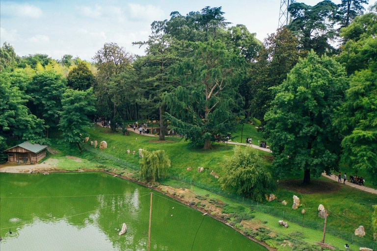 Mar Negro: Excursión a la Playa Magnética y al Jardín Botánico de Batumi