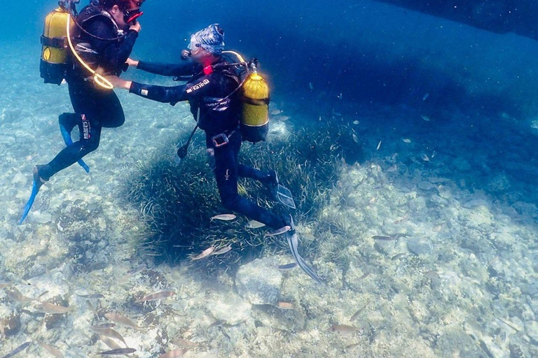 Kuşadası: Boat Trip with Scuba Diving, Snorkeling, and Lunch