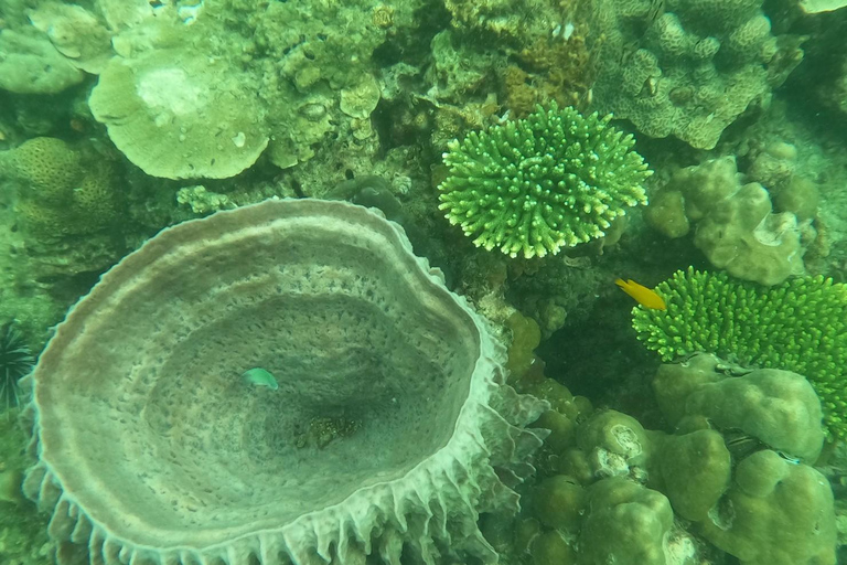 Krabi: passeio de barco de cauda longa pelas 4 ilhas e pelo mar separado de Krabi