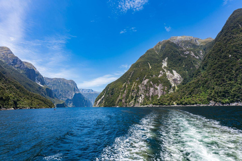 Queenstown: Milford Sound Private Tour