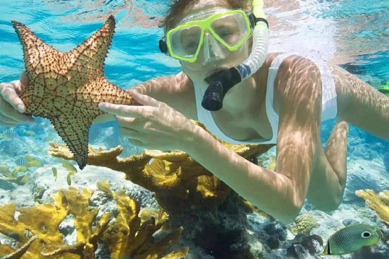 Day Trip: Kisite Dolphin Safari & Wasini Island with Lunch From Diani: Wasini Island Tour with Snorkeling and Lunch