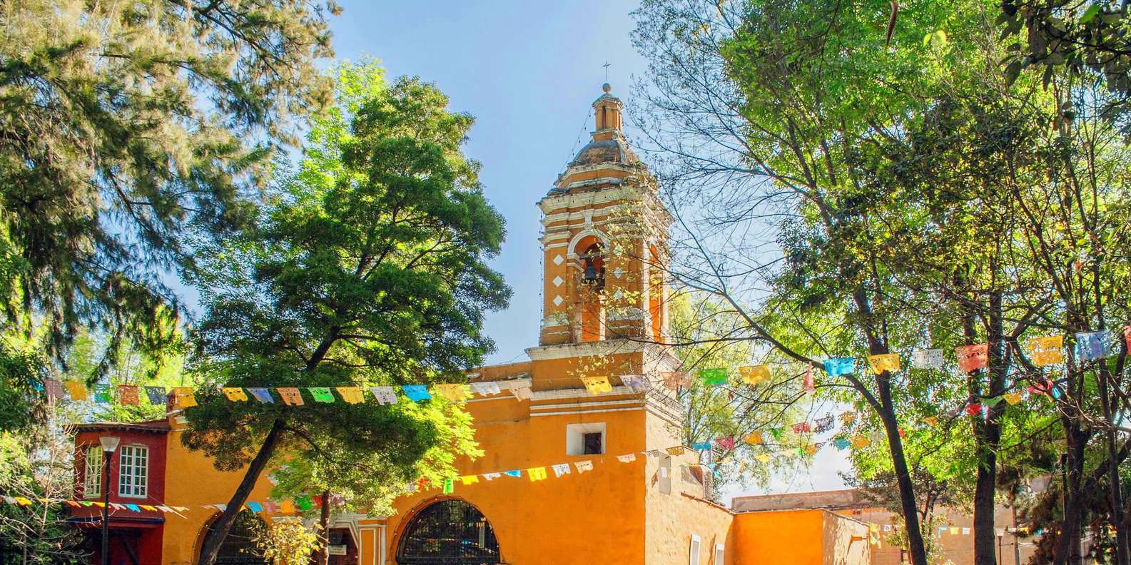Mexico City: Private tour of Xochimilco, Coyoacán, and the Frida Museum