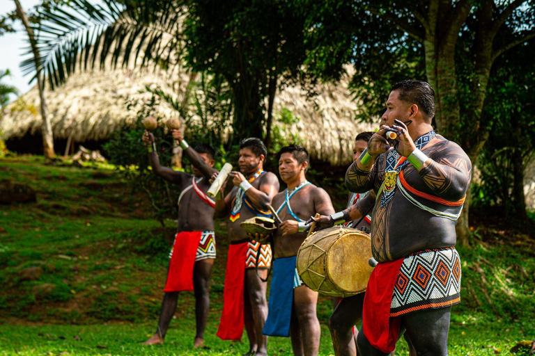 Private 6 Stunden Tour zu Emberas Gemeinschaft Panama Roots