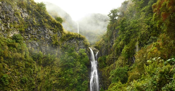 Rabaçal - 25 Springs & Risco Waterfall: Guided Hiking Tour