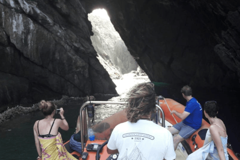 Cadaques: Tour in barca del Parco Naturale di Cap de Creus