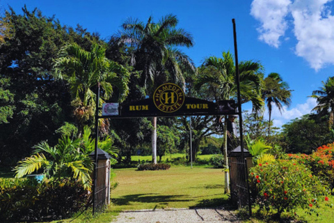 Falmouth : Visite de dégustation du rhum Hampden Estate au départ de Montego Bay