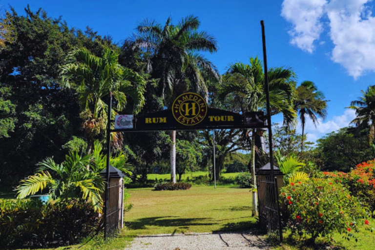 Falmouth: Tour di degustazione del rum della Hampden Estate da Montego Bay