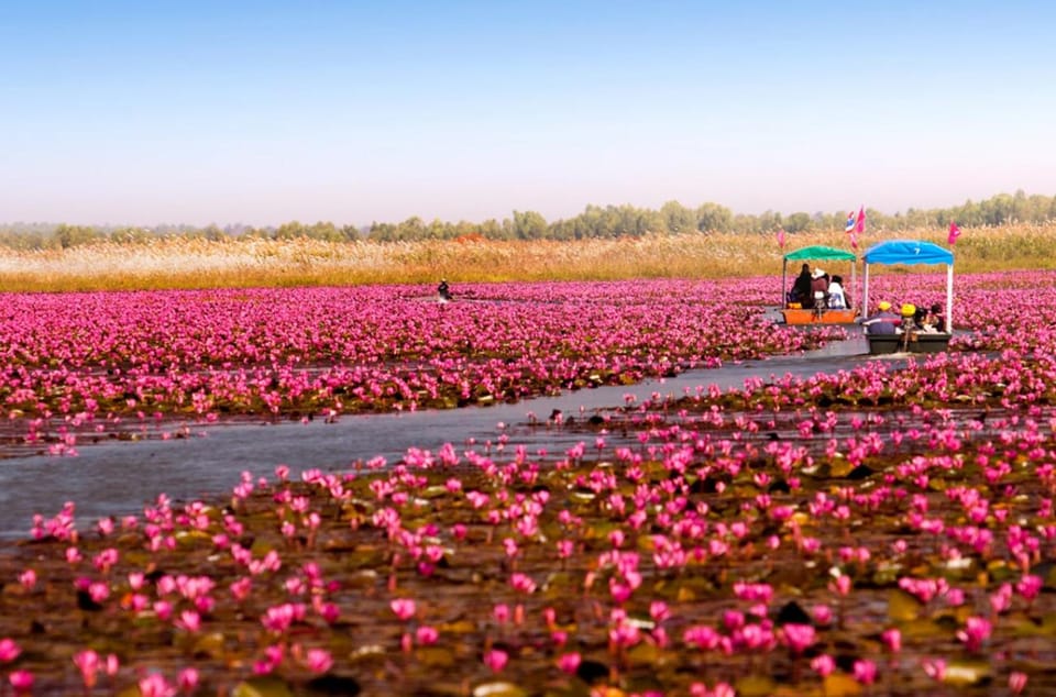 Dolce gita in barca sempre Red Lotus Lake Udonthani - Hizvo