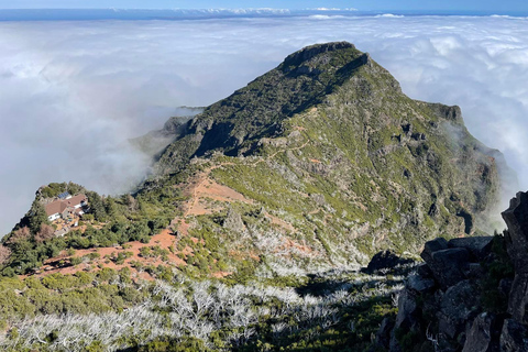 Funchal : randonnée au Pico Ruivo et à l&#039;Achada do Teixeira avec transfertFunchal : transfert pour randonnée au Pico Ruivo et à Achada do Teixeira