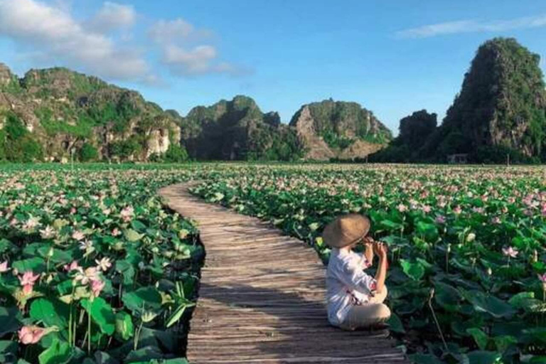 Von Hanoi: Ninh Binh - Bai Dinh &amp; Trang An &amp; Mua Höhle TourPrivate Tour