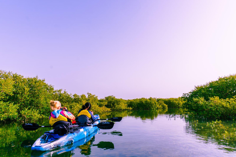 Doha: Prywatna przygoda kajakowa na Purple Island Mangroves