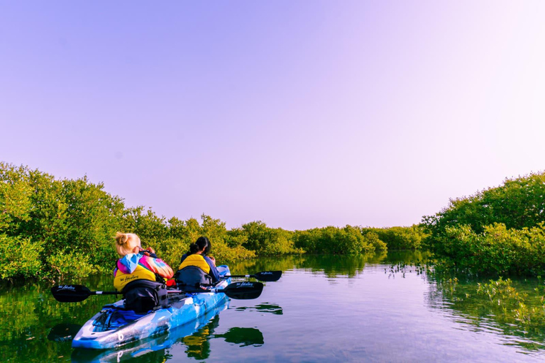 Doha: Private Purple Island Mangroves Kayaking Adventure