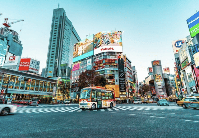 Tokyo: Private Guided Tour with Hotel Pickup and Drop-off