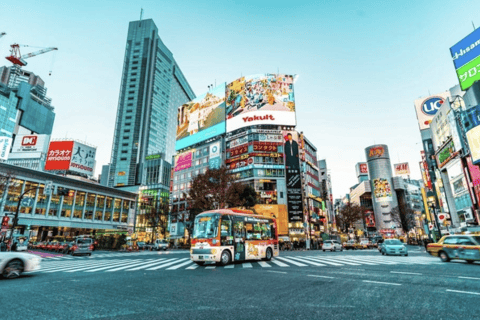 2 jours Tokyo, excursion au Mont Fuji visite guidée privée