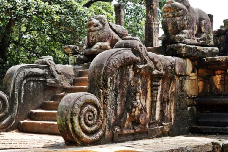 Kandy: Polonnaruwa, Sigiriya & Dambulla Private Tour