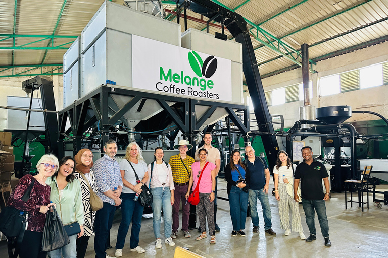 Kaffee-Verkostungstour in Addis Abeba