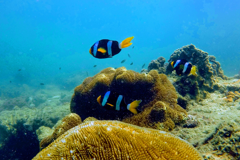 Golden Horizon of Krabi: 4 Islands & Phra Nang Sunset