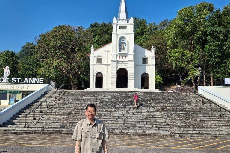 Penang: Private Guided Tour of Island and Mainland
