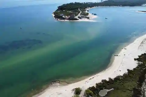 Setúbal: Tróia and Roman Ruins Boat Tour with Guide