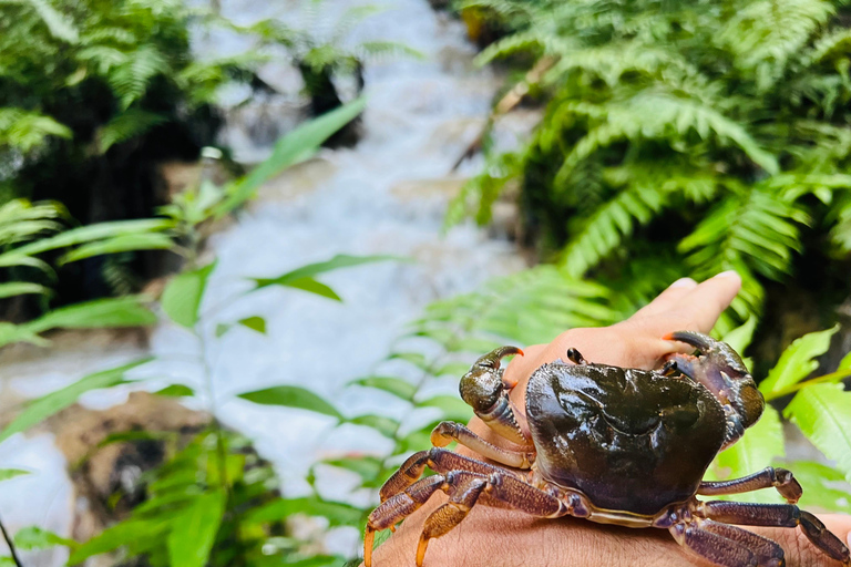 Chiang Rai: The Adventure of Trekking & Bamboo Cooking