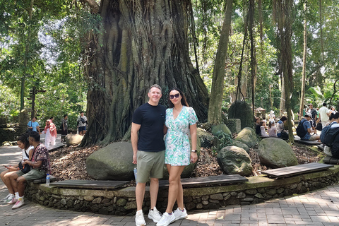 乌布猴林、梯田、秋千、寺庙和瀑布乌布猴林、水稻梯田、秋千、寺庙和瀑布