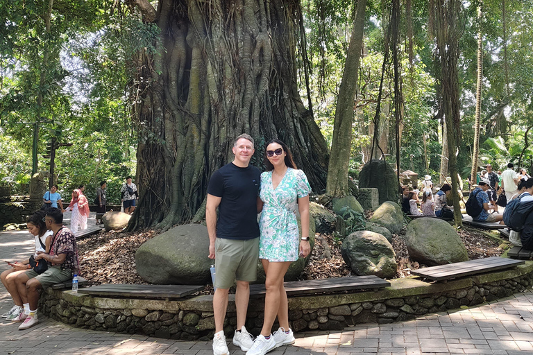 乌布猴林、梯田、秋千、寺庙和瀑布乌布猴林、水稻梯田、秋千、寺庙和瀑布