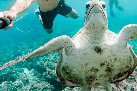 Salalah: Mirbat Snorkeling or Scuba Diving Adventure Mirbat Snorkeling Adventure – Meeting Point