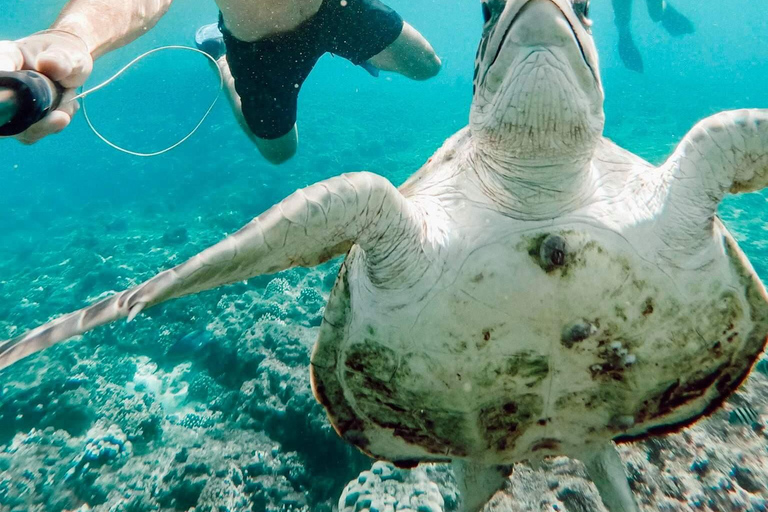 Salalah: Mirbat Snorkeling or Scuba Diving Adventure Mirbat Snorkeling Adventure – Meeting Point