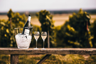 Tours-sur-Marne: Cellar Tour & Champagne Tasting