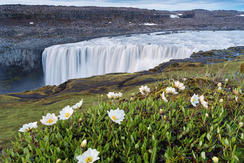 Puerto de Akureyri: Excursión a Dettifoss, Goðafoss y el lago Mývatn