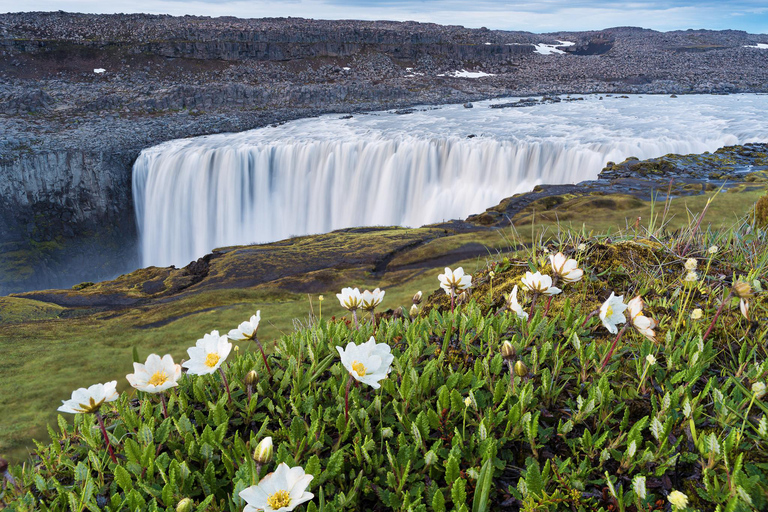 Puerto de Akureyri: Excursión a Dettifoss, Goðafoss y el lago Mývatn