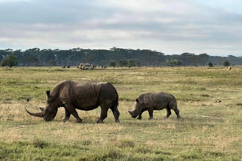 2 Tage Lake Nakuru und Lake Naivasha Safari Paket