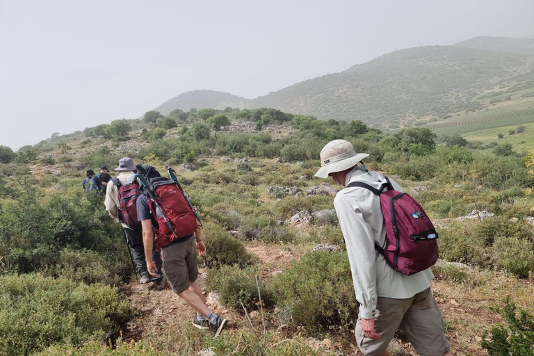 Nazareth and Cana: Discover the Galilee and Israel's North