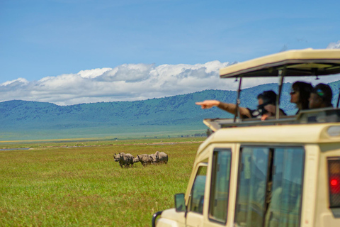 Ngorongoro Crater Safari & Maasai Village Experience