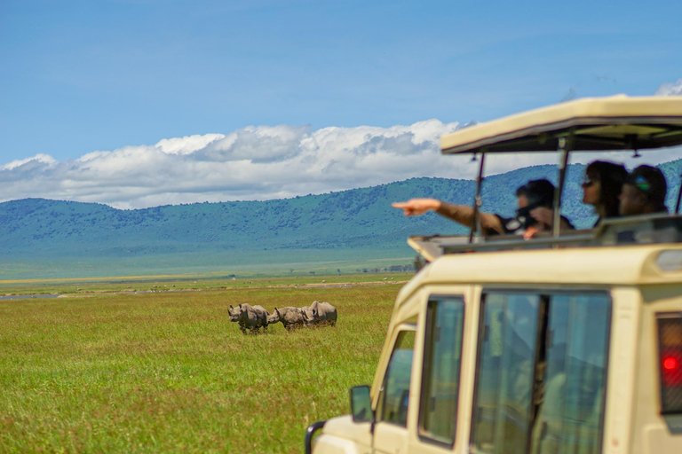 Ngorongoro Crater Safari & Maasai Village Experience