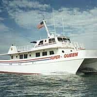 mexicogulfen deep sea fishing fra clearwater beach