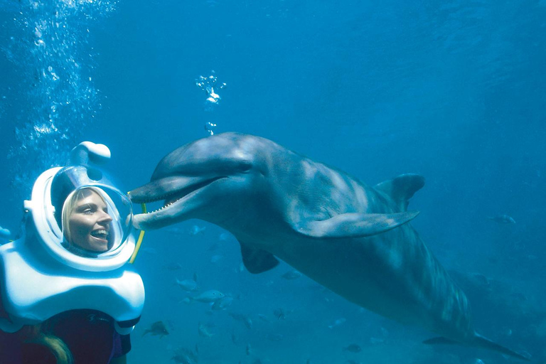 From Riviera Maya: Xel-Há All-Inclusive Park Entrance to Xel-Há Park with Lunch Included