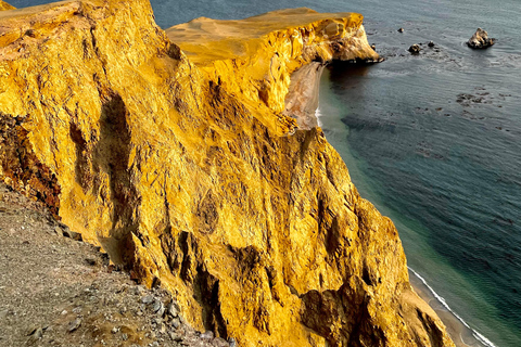 2D/1N PARACAS HUACACHINA VANUIT LIMA