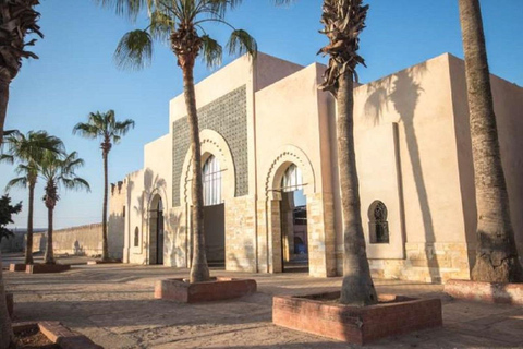 Agadir Bezoek de oude Medina van Coco Polizzi met stadsrondleiding