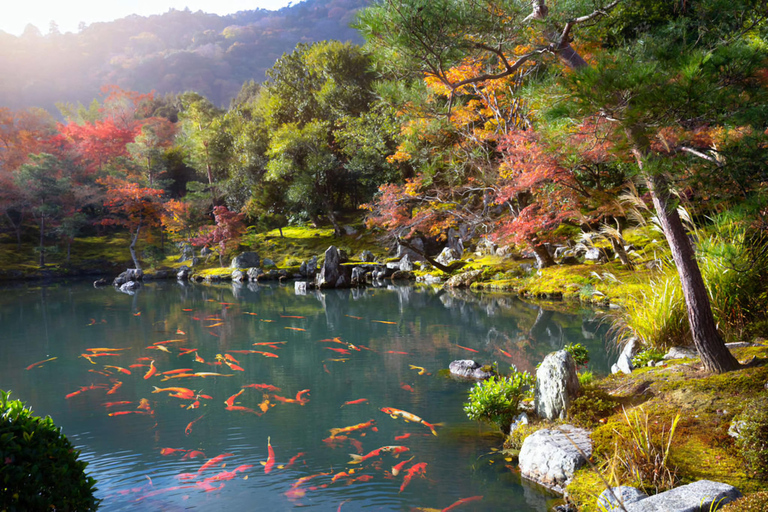 Kyoto, Nara, or Osaka: Private Day Trip with Guide and Car