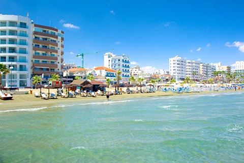 Cyprus: Private Day Trip to South Coast with a local