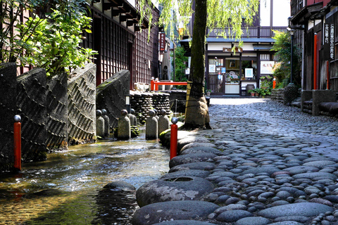 Von Nagoya aus: Gujo, Hida Takayama und Shirakawa-go Tagestour