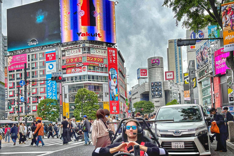 Tokyo: Shibuya & Tokyo Landmarks Guided Drive Tokyo Shibuya Night Drive Experience