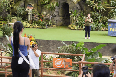 Cebu Safari: Experience Wildlife Up Close