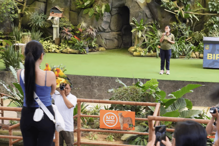 Cebu Safari: Experience Wildlife Up Close