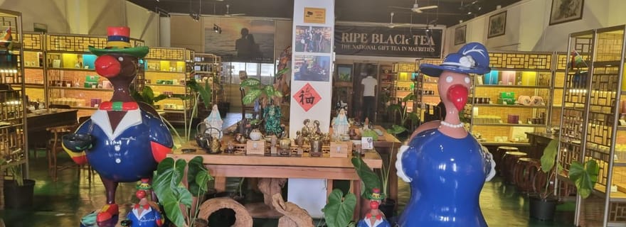 Maurice : visite privée d'une jounée dans le Nord