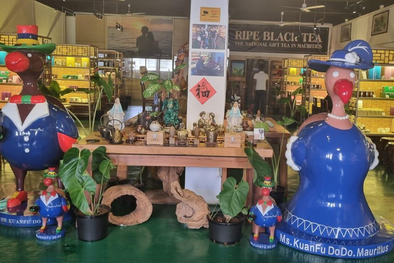 Mauritius: Private Ganztagestouren in den Norden