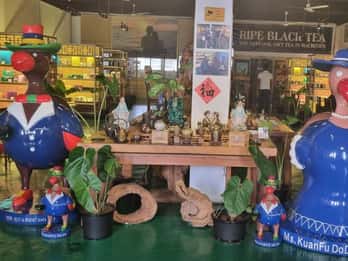 Mauritius: Private Full-Day North Tours