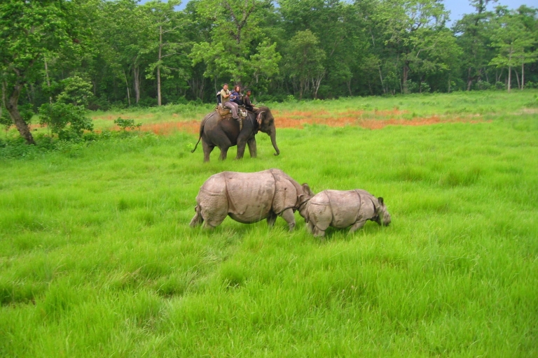 3-dniowe safari w dżungli Chitwan - pakiet all inclusive3-dniowe safari w dżungli Chintwan - pakiet all inclusive